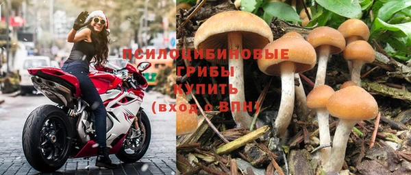 соль ск Воткинск