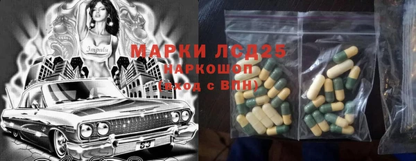 мдпв Вяземский